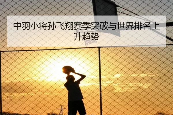 中羽小将孙飞翔赛季突破与世界排名上升趋势